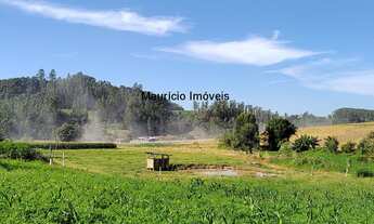Imagem: Terreno rural com 5.300,00 m², Lageado