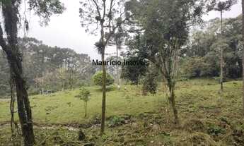 Imagem 4: SITIO COM 2 LINDAS CACHOEIRAS IDEAL PARA CASA DE CAMPO RIBEIRÃO DA CAÇA MIRIM DOCE SC