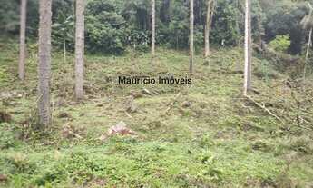 Imagem 3: SITIO COM 2 LINDAS CACHOEIRAS IDEAL PARA CASA DE CAMPO RIBEIRÃO DA CAÇA MIRIM DOCE SC