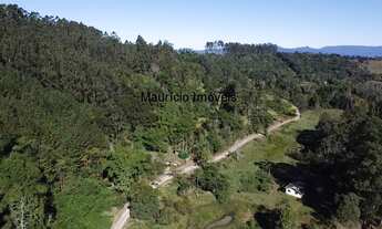 Imagem 4: Sitio com 13 hectares, reflorestado com pinus e eucaliptos, com uma casa alvenaria e outr
