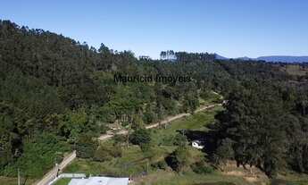 Imagem 7: Sitio com 13 hectares, reflorestado com pinus e eucaliptos, com uma casa alvenaria e outr