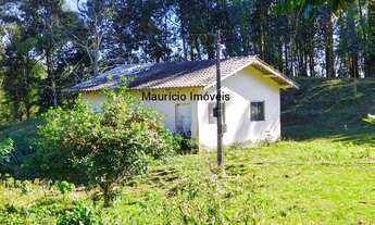 Imagem: Sitio com 13 hectares, reflorestado com