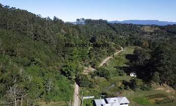 Imagem 3: Sitio com 13 hectares, reflorestado com pinus e eucaliptos, com uma casa alvenaria e outr