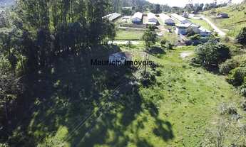 Imagem 2: Sitio com 13 hectares, reflorestado com pinus e eucaliptos, com uma casa alvenaria e outr