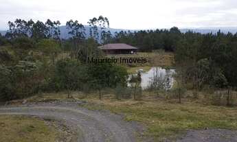 Imagem 2: Sitio com 5,1 hectares, Bela Vista, Taió, S.C., com casa semi nova, curral, 2 mangueiros