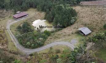 Imagem 4: Sitio com 5,1 hectares, Bela Vista, Taió, S.C., com casa semi nova, curral, 2 mangueiros