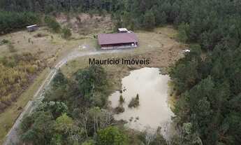 Imagem 3: Sitio com 5,1 hectares, Bela Vista, Taió, S.C., com casa semi nova, curral, 2 mangueiros