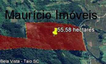 Imagem: Terreno rural com 55,58 hectares, parte