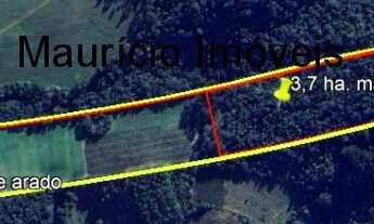 Imagem 3: Sítio com 15,2 ha. plantio fumo e criação gado leiteiro, Serra do Mirador, Rio do Campo, S