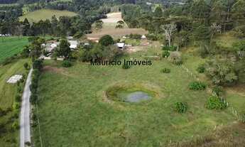 Imagem 6: Sítio com 15,2 ha. plantio fumo e criação gado leiteiro, Serra do Mirador, Rio do Campo, S