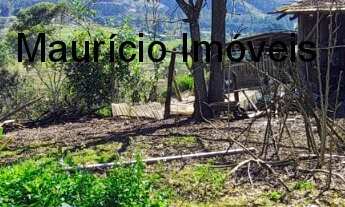 Imagem 6: Sítio 4,5 hectares Distrito Passo Manso, Taió, S.C., com casa alvenaria, lagoa, área pasta