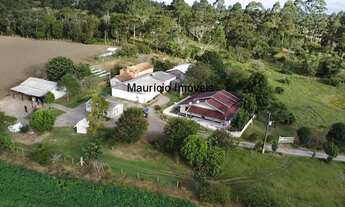 Imagem: Sítio com 15,2 ha. Plantio fumo e criação