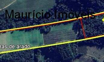 Imagem 4: Sítio com 15,2 ha. plantio fumo e criação gado leiteiro, Serra do Mirador, Rio do Campo, S