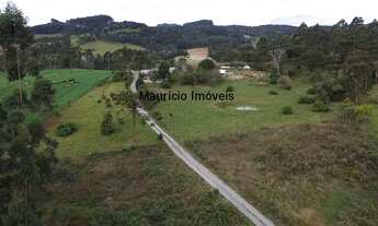 Imagem 5: Sítio com 15,2 ha. plantio fumo e criação gado leiteiro, Serra do Mirador, Rio do Campo, S