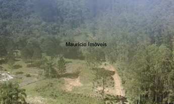 Imagem: Terreno rural com 5,6 hectares, Ribeirão