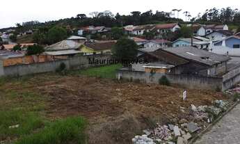 Imagem 3: Terreno Urbano na Rua Gentil Andrioli, Bairro Victor Konder. Com uma area de 377,00m²