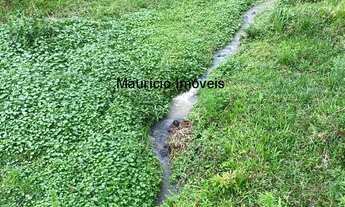 Imagem 7: Sítio com 14 hectares na localidade de Ribeirão Pequeno, Taió, S.C., distando 4 km do asfa