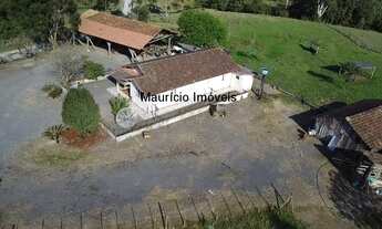 Imagem 4: Sitio na Localidade Ribeirão Encano, Distrito de Passo Manso, Taió-SC, contendo 11 Hectare