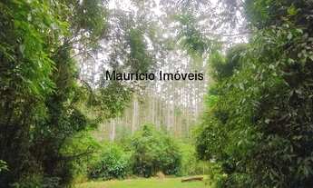 Imagem 7: Chácara com 9 hectares, Ribeirão das Pedras, Taió, S.C., Possui uma casa em fase construçã