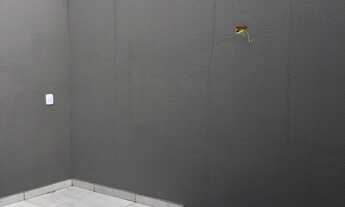 Imagem 3: SOBRADO NOVO A VENDA - Sobrado 3 dormitórios sendo 01 suite no Jardim França, 02 vagas cob