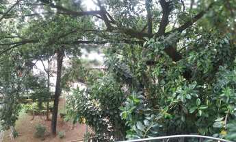 Imagem 7: Apto MOBILIADO para locação - com 2 dormitórios, 01banheiro, 01 vaga - 50m - Atras do Tria