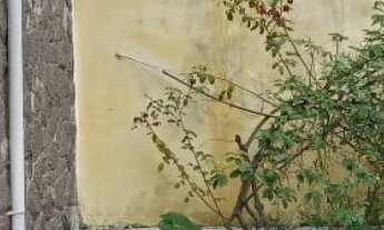 Imagem 3: Casa à venda 5 quartos, 03 banheiros, 2 vagas, 221m , edícula, Vila Mariana - Proximo ao