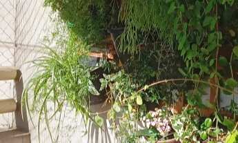 Imagem 2: Apartamento para locação - 2 dorm sendo 01 suite, varanda , ar condicionado, 75m - Lazer