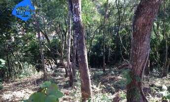 Imagem 3: TERRENO RURAL em Mairiporã - SP, Serra Da Cantareira
