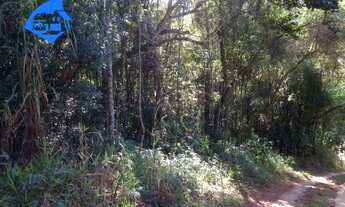 Imagem 5: TERRENO RURAL em Mairiporã - SP, Serra Da Cantareira