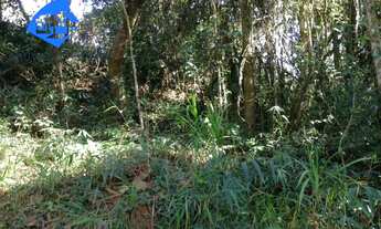 Imagem 6: TERRENO RURAL em Mairiporã - SP, Serra Da Cantareira