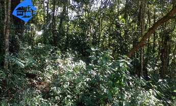 Imagem 7: TERRENO RURAL em Mairiporã - SP, Serra Da Cantareira
