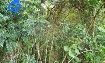 Imagem 3: TERRENO RURAL em MAIRIPORÃ - SP, BARREIRO