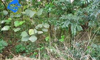 Imagem 4: TERRENO RURAL em MAIRIPORÃ - SP, BARREIRO