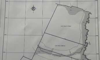 Imagem: AREA COMERCIAL em SÃO JOSÉ DOS PINHAIS