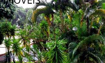 Imagem 3: Imperdível Oportunidade! Apartamento com 3 quartos (1 Suíte), Closet, Ampla sala, Varanda