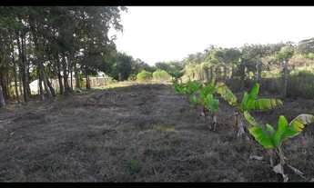 Imagem 6: 3 dormitórios, 1 banheiros, 80M² de Área Construída