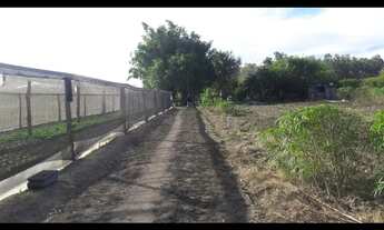 Imagem 5: 3 dormitórios, 1 banheiros, 80M² de Área Construída