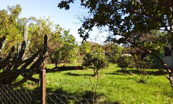 Imagem 3: 2 dormitórios, 1 banheiros, 1M² de Área Construída, 1M² de Área Total