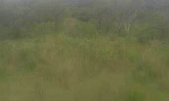 Imagem 5: 208M² de Área Construída, 208M² de Área Total