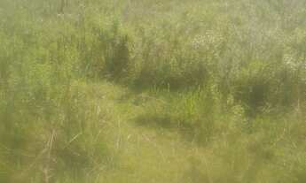 Imagem 4: 208M² de Área Construída, 208M² de Área Total