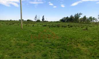 Imagem 5: 5 dormitórios, 2 banheiro, 1 vaga na garagem