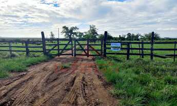 Imagem 2: 5 dormitórios, 2 banheiro, 1 vaga na garagem