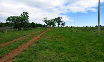 Imagem 3: 5 dormitórios, 2 banheiro, 1 vaga na garagem