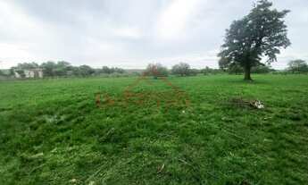 Imagem 4: 5 dormitórios, 2 banheiro, 1 vaga na garagem
