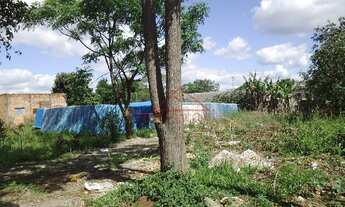 Imagem 2: Terreno econômica para venda em Uruguaiana. Bairro Cidade Nova
