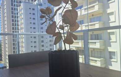 Imagem 4: Apartamento com 1 dormitório à venda, 48 m² por R$ 750.000,00 - Campo Belo - São Paulo/SP