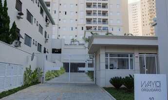 Imagem 2: Marapé - Litoral Santos