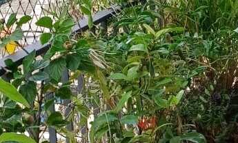 Imagem 7: Apartamento com 3 dormitórios à venda, 93 m² por R$ 980.000,00 - Perdizes - São Paulo/SP