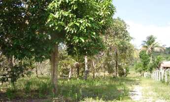 Imagem 3: Terreno de 127.000m² em condomínio à venda em Camaçari-BA, no bairro Parafuso: excelente o