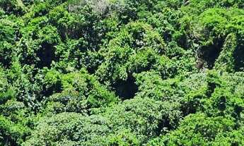 Imagem 4: Apartamento na Pituba: 3 Quartos, 2 Suítes, 2 Salas, 4 Banheiros, 3 Vagas de Garagem - 123